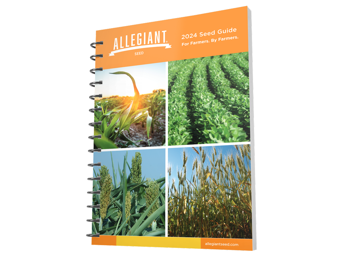 Allegiant 2024 Seed Guide